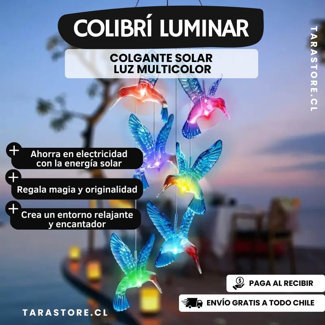 Colgante Solar Luz Multicolor