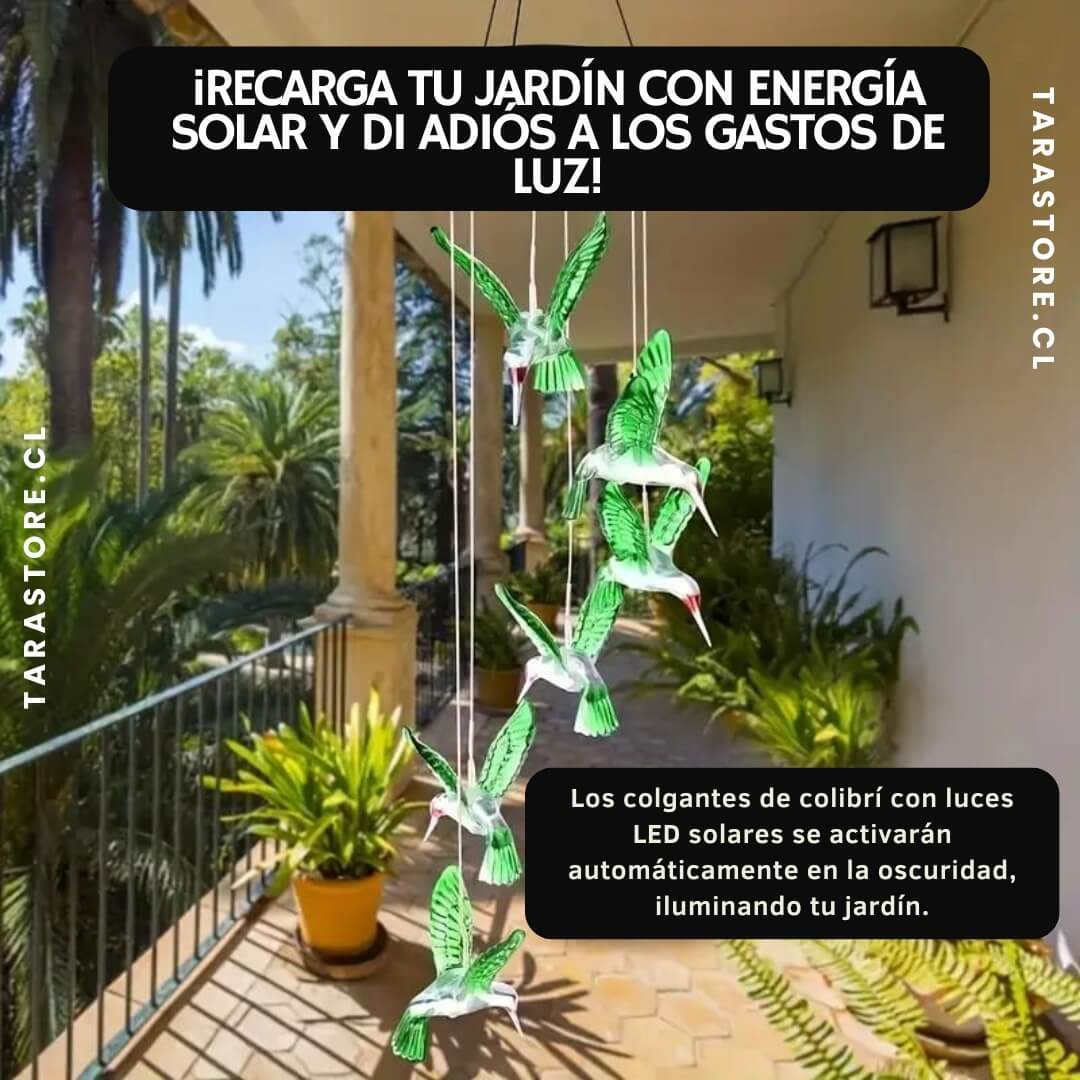 Colgante Solar Luz Multicolor