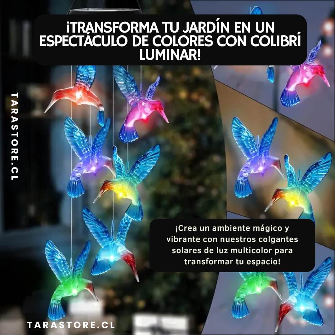 Colgante Solar Luz Multicolor