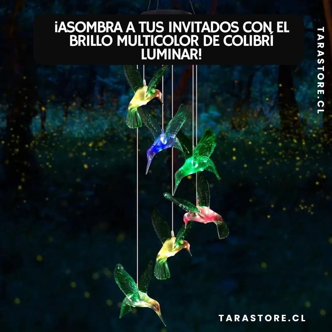 Colgante Solar Luz Multicolor