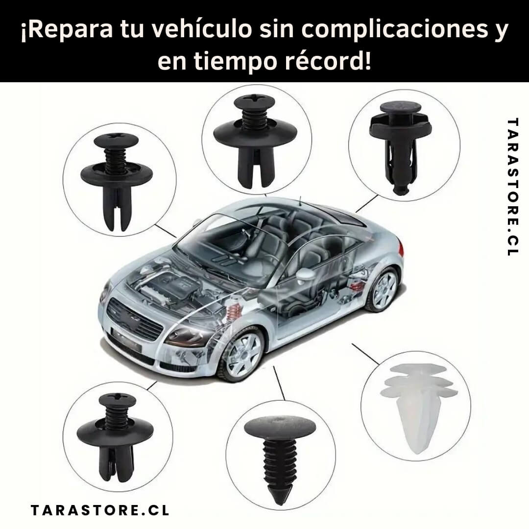 Kit Remache Para Auto 100 Piezas