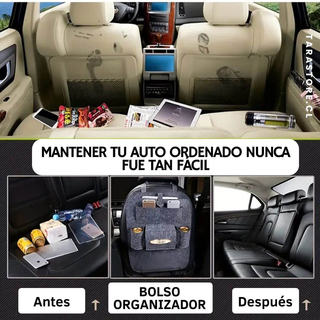 Organizador Para Asiento Color Negro ¡2x1!