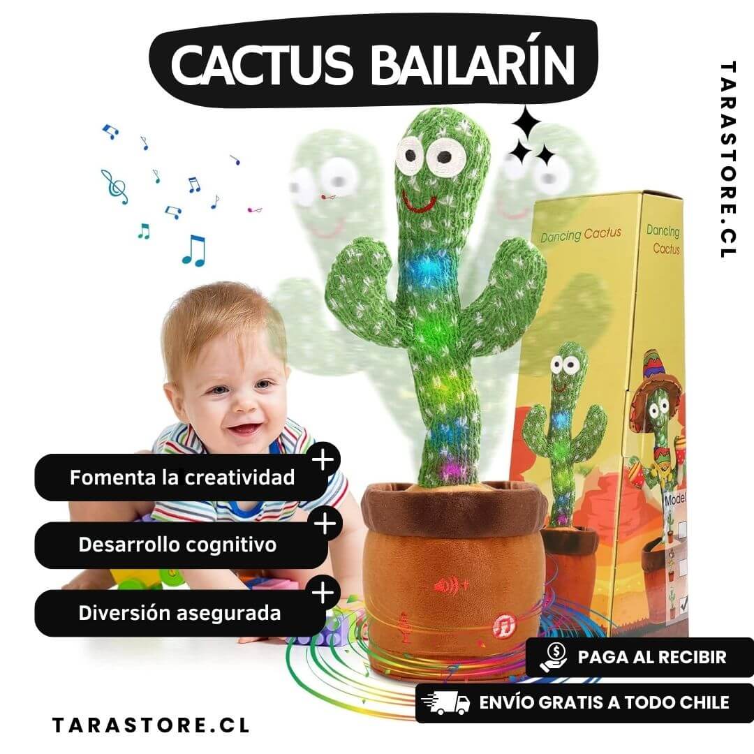Cactus Bailarín Musical