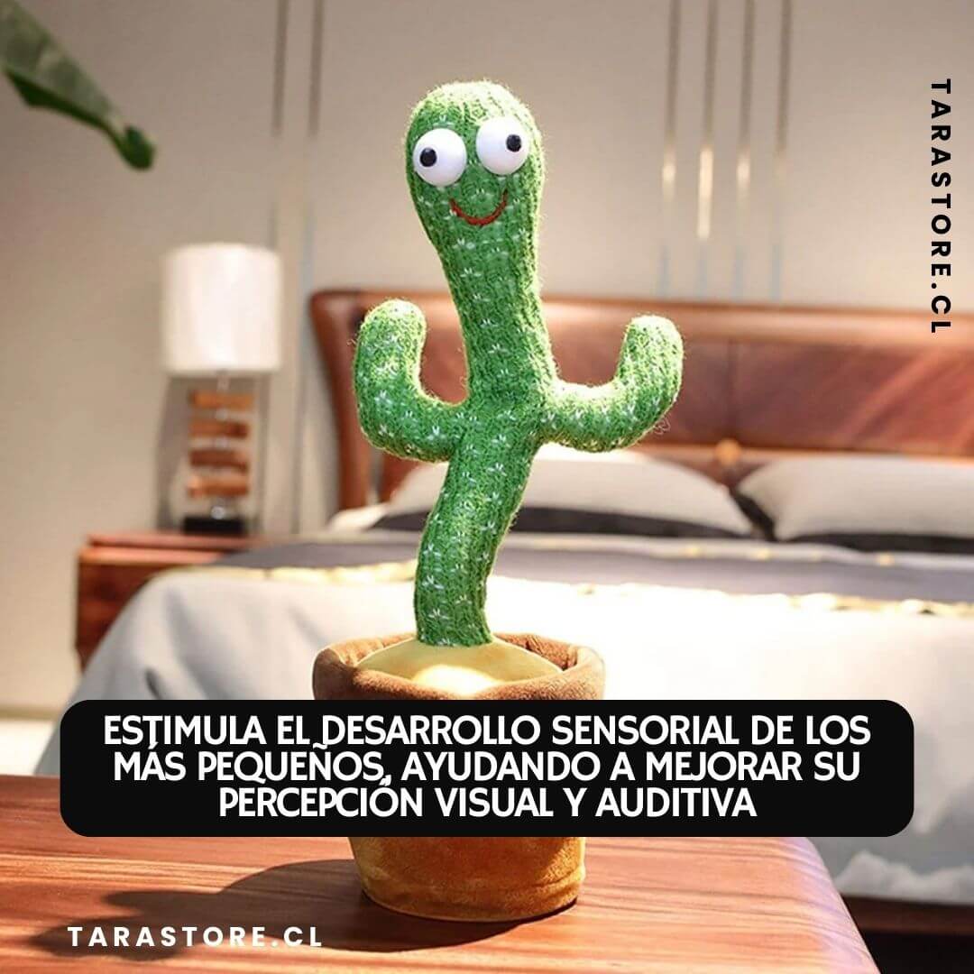 Cactus Bailarín Musical