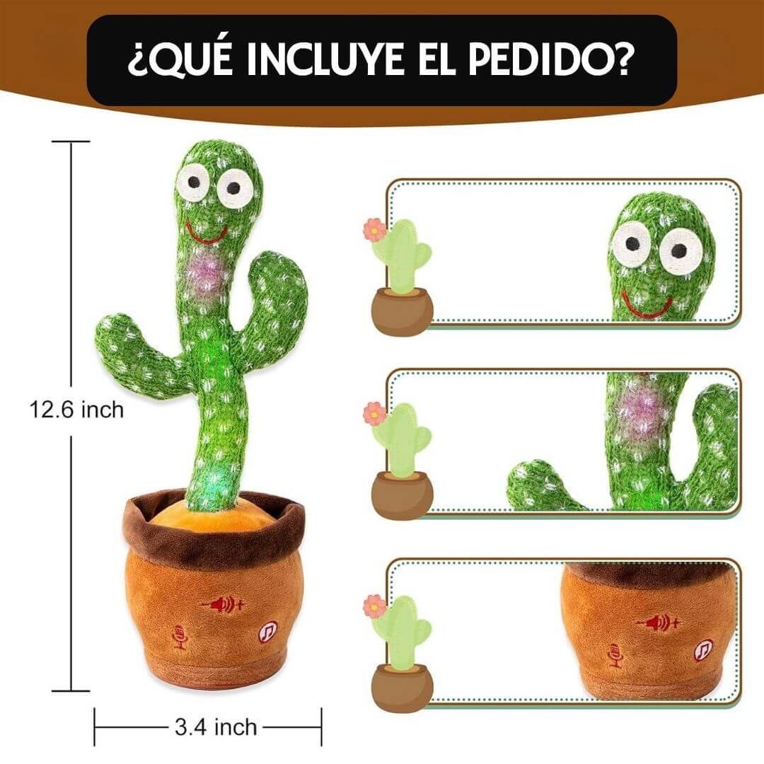 Cactus Bailarín Musical