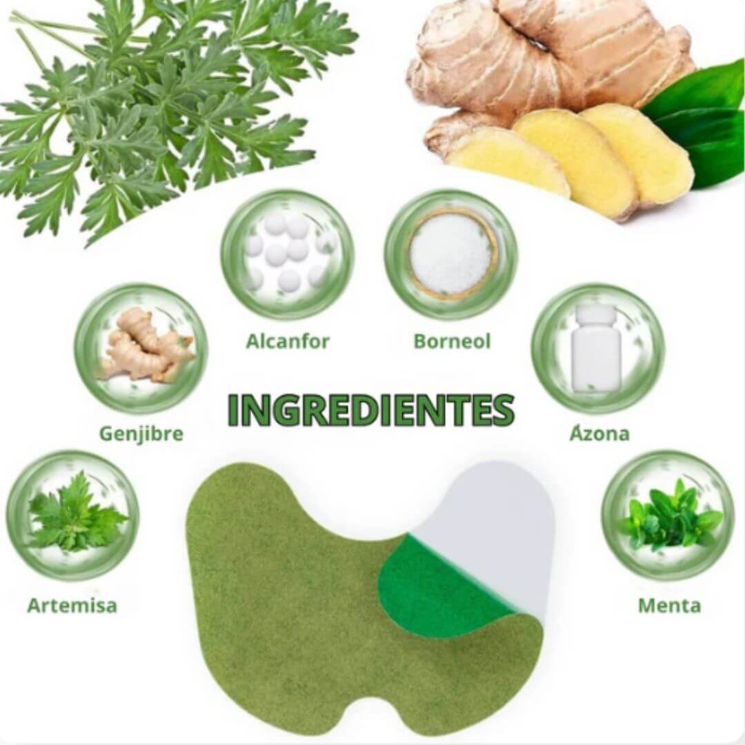 Parches Alivia Dolor Cuerpo - 5 Cajas (50 parches)