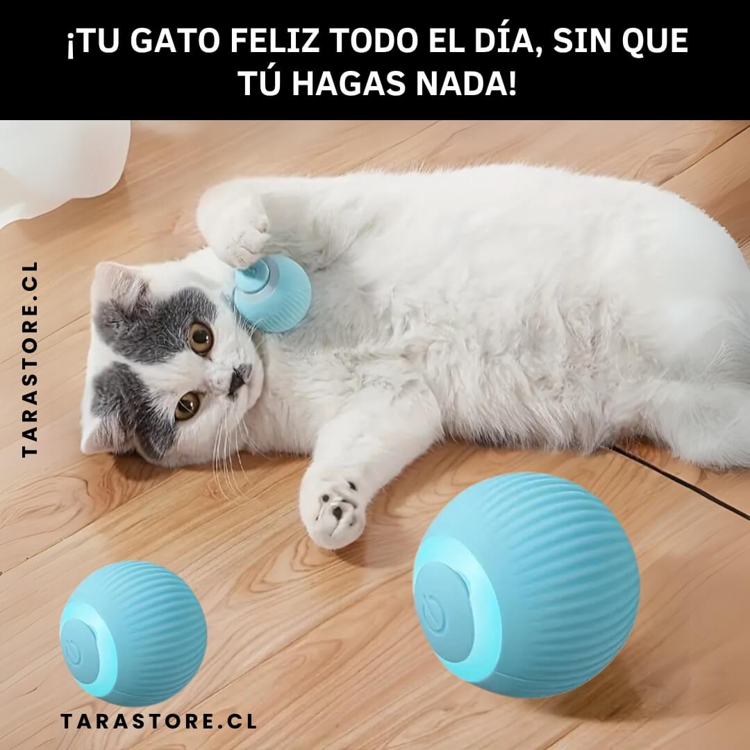 SmartBall® Pelota Juguete Para Gatos