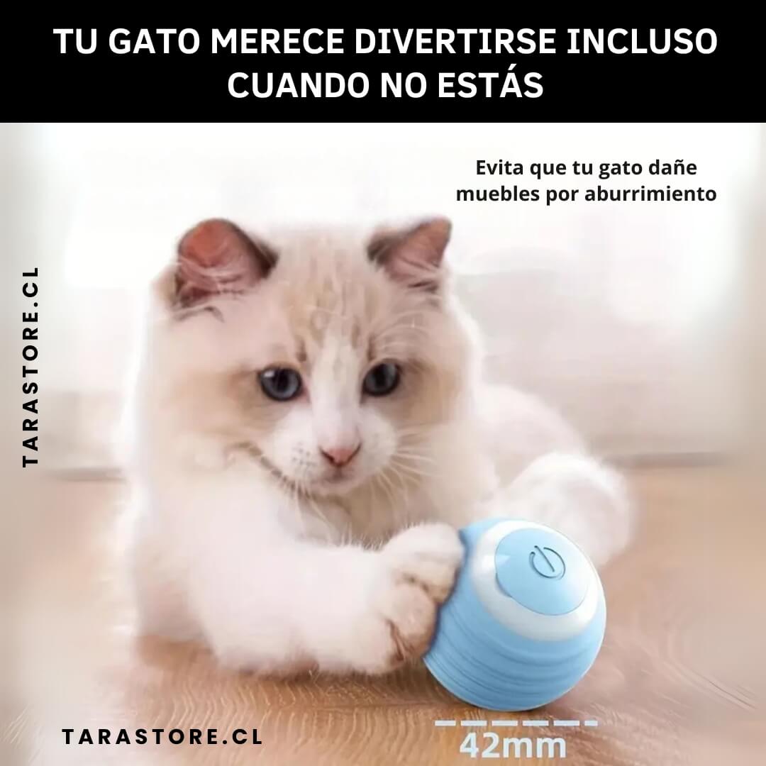 SmartBall® Pelota Juguete Para Gatos