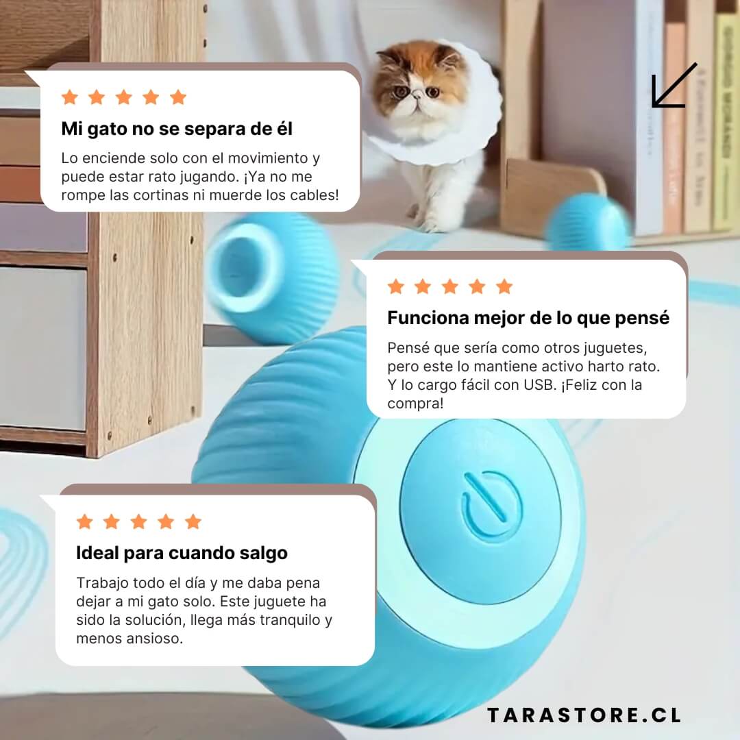 SmartBall® Pelota Juguete Para Gatos