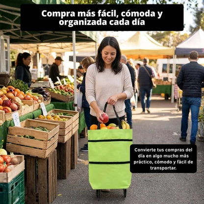 Bolso Carro de Compras Plegable con Ruedas — Feria y Supermercado