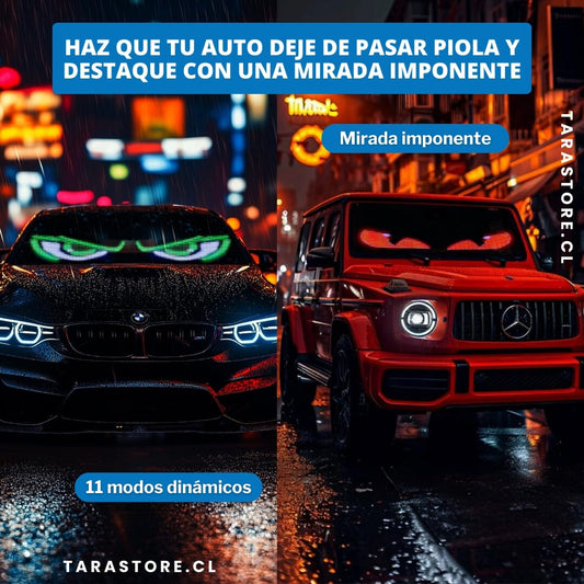 Devils Eye - Una Mirada Que Impone Respeto